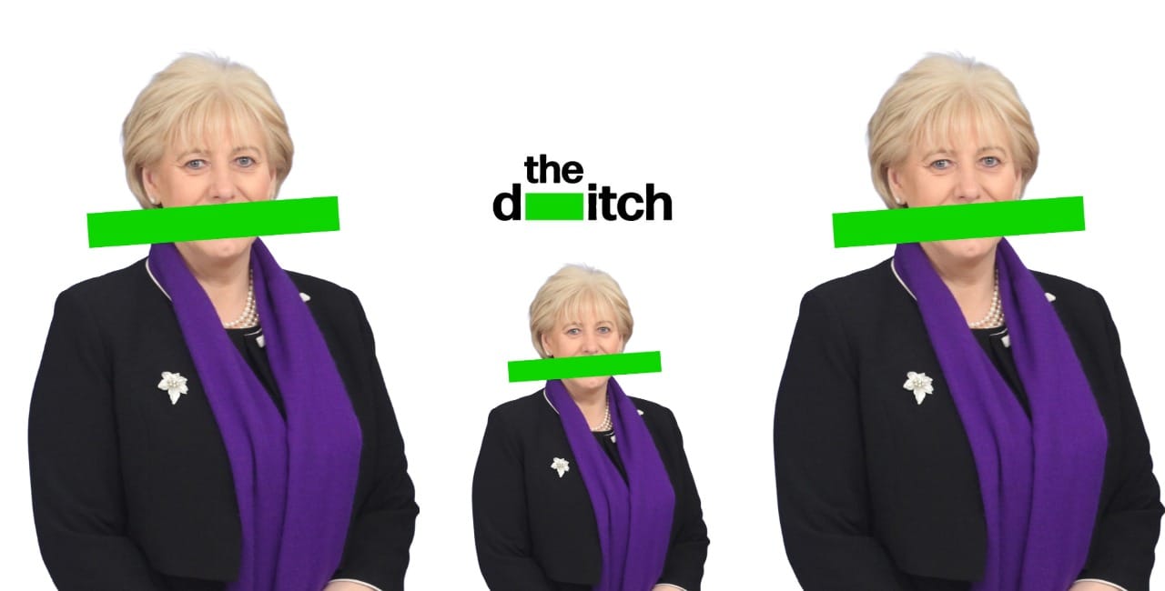 Humphreys was star attraction at ‘charity’ event under garda investigation