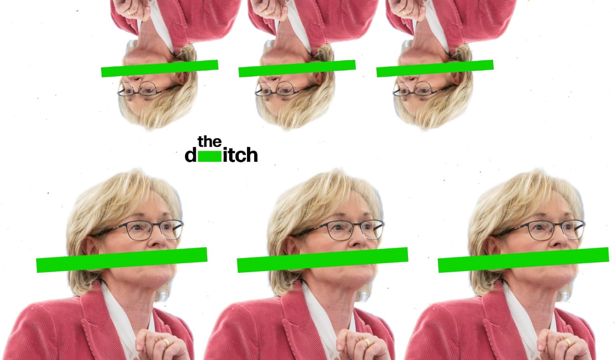 Her rental income from these two Meath investment properties is additional to the €800,000 she claimed in EU expenses.