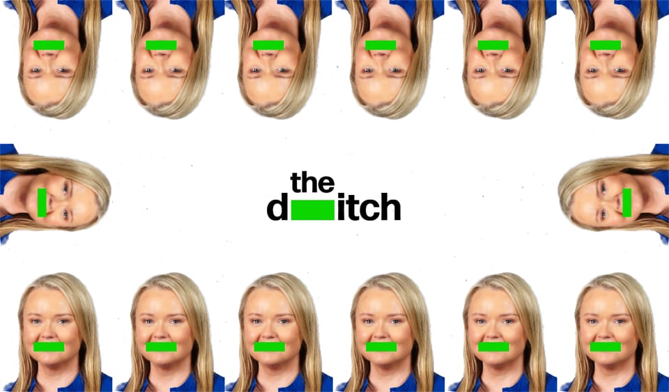 Meath Fine Gael candidate – and assistant to Damien English – in battle with council over unlawful development